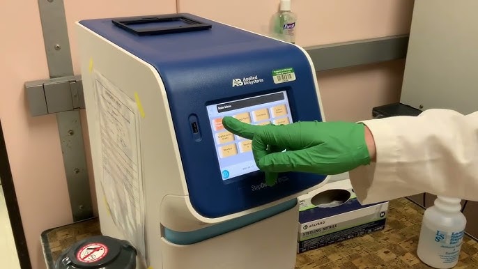 Real-Time PCR